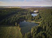 Führung mit Welterbe-Guide: Auerhahn-Kaskade im Bockswieser Revier